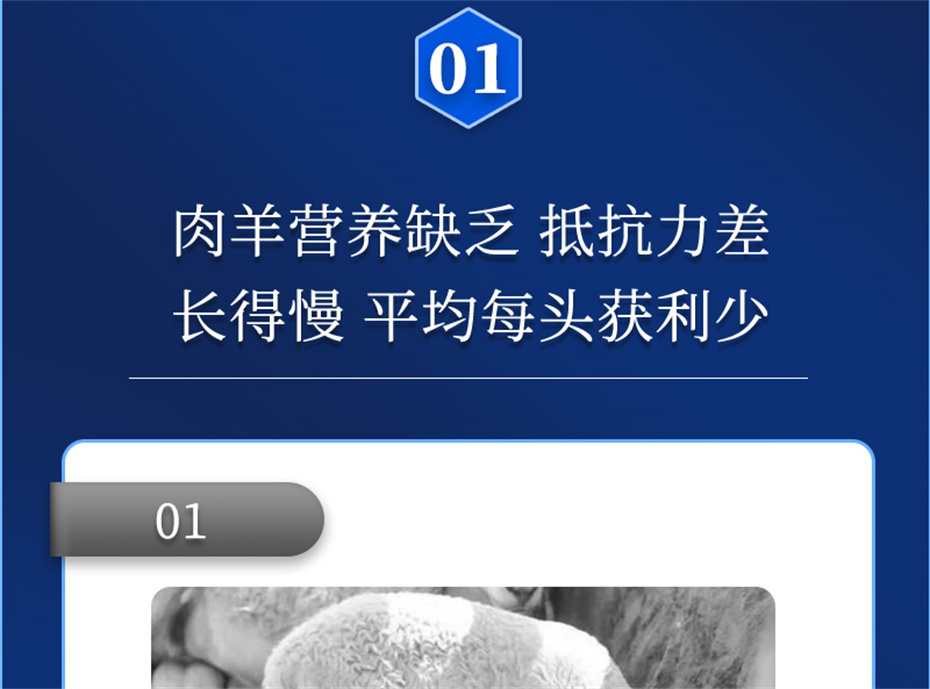 j9�����������������Ӽ��������Ʒ����