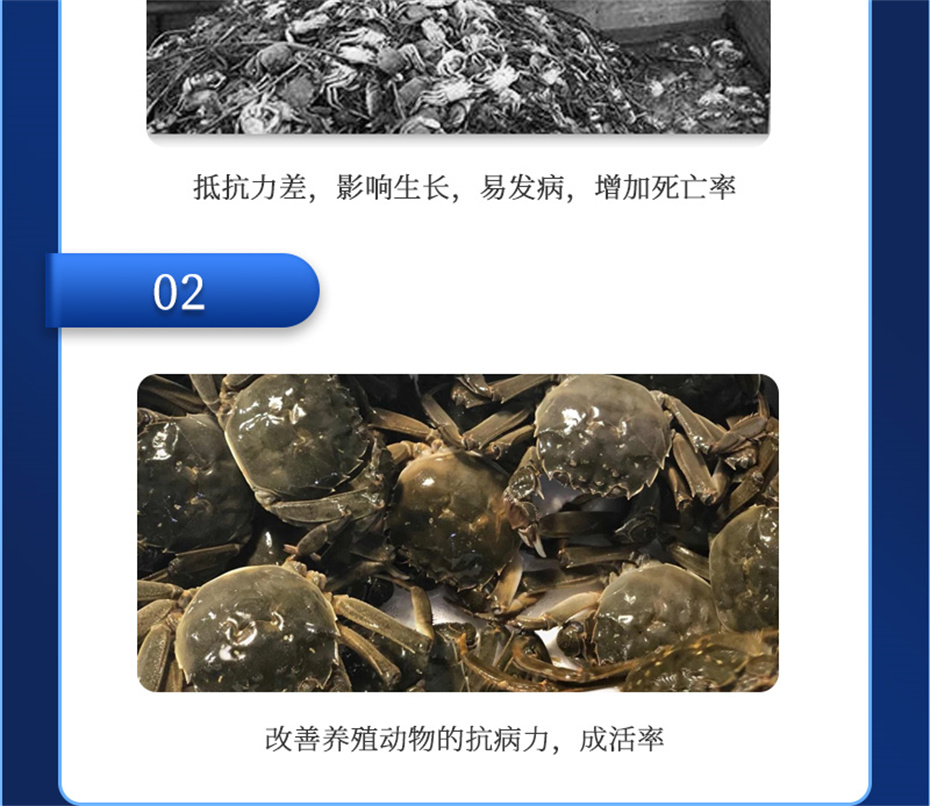 j9��������ˮ���������Ӽ�����1�Ų�Ʒ����