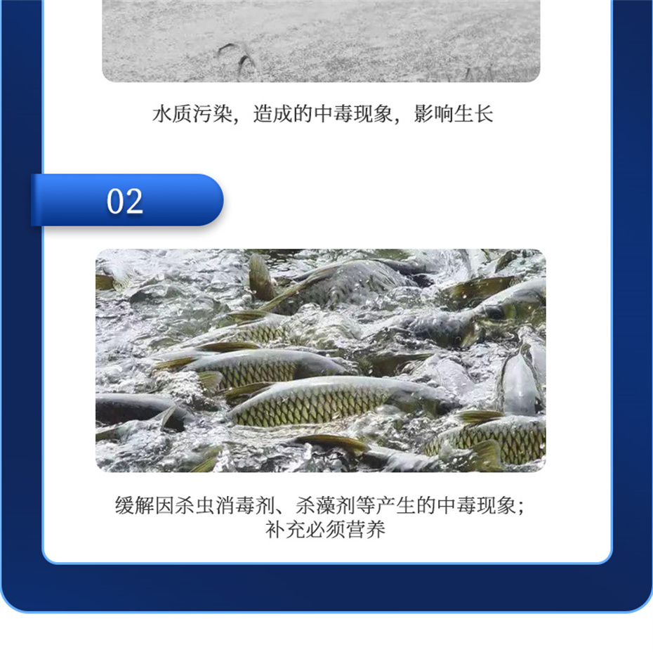 j9��������ˮ���������Ӽ�����1�Ų�Ʒ����