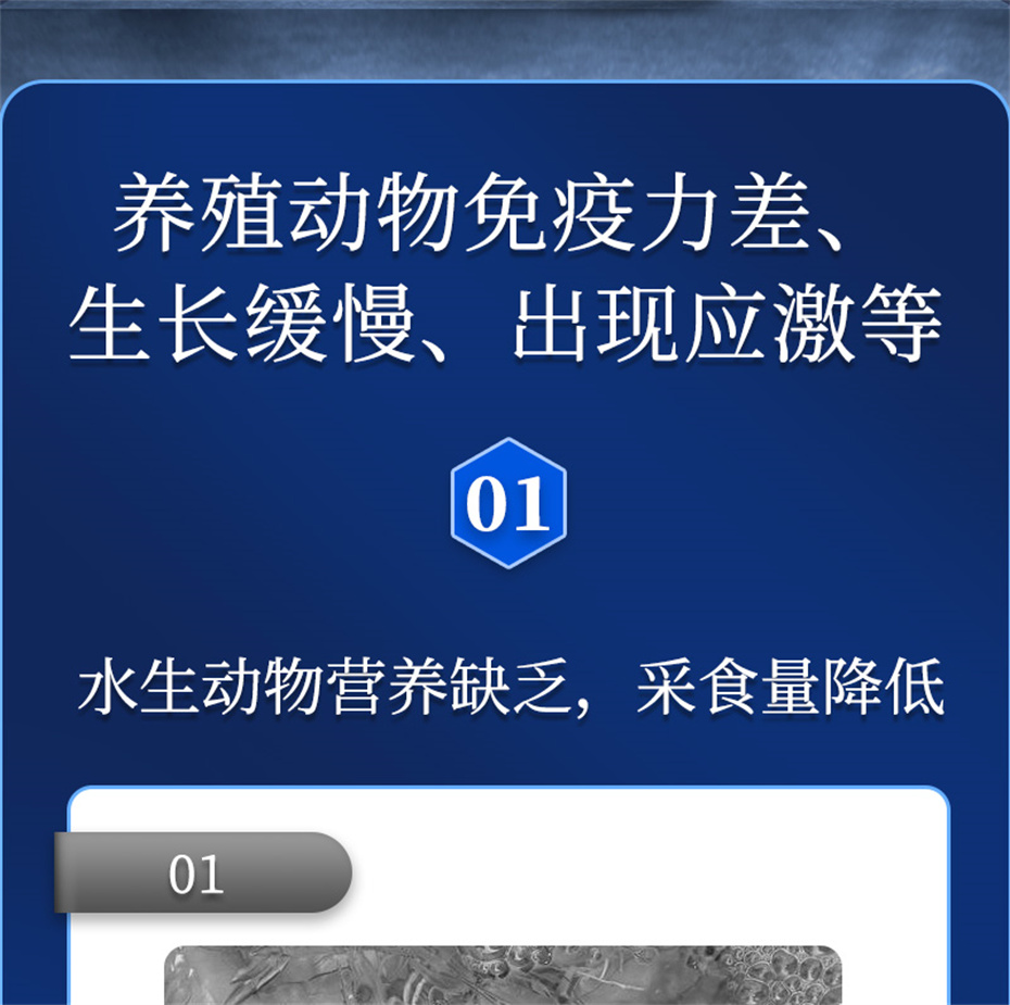 j9��������ˮ���������Ӽ�ά��1�Ų�Ʒ����