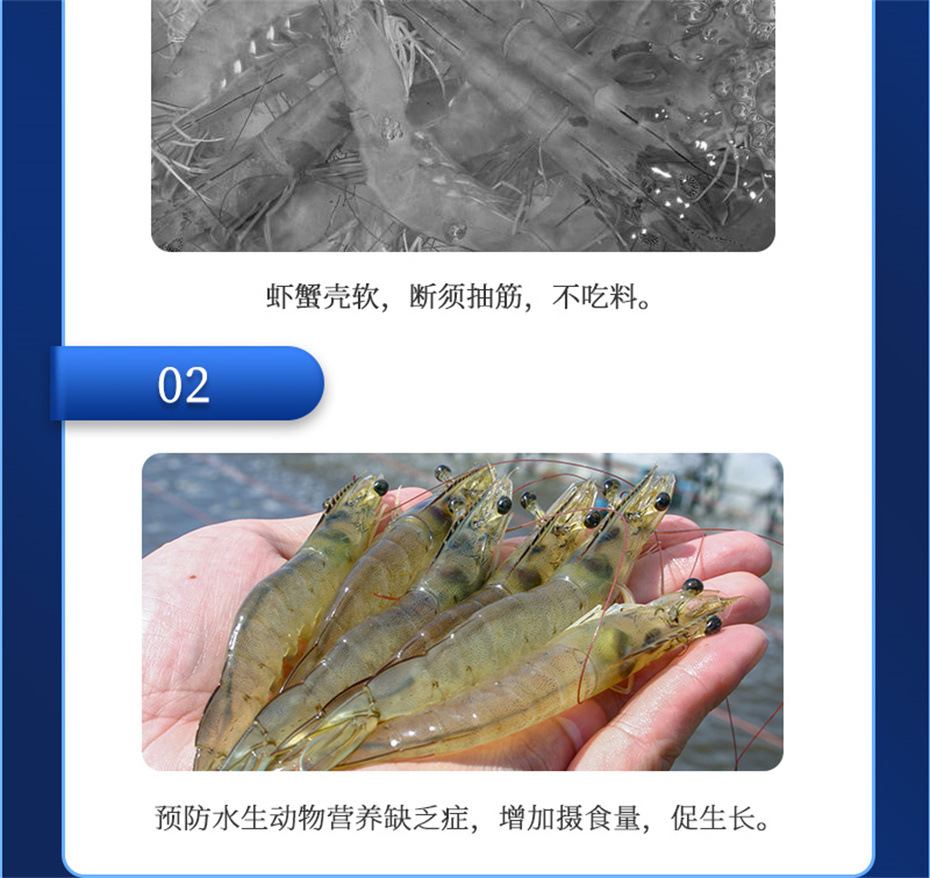 j9��������ˮ���������Ӽ�ά��1�Ų�Ʒ����