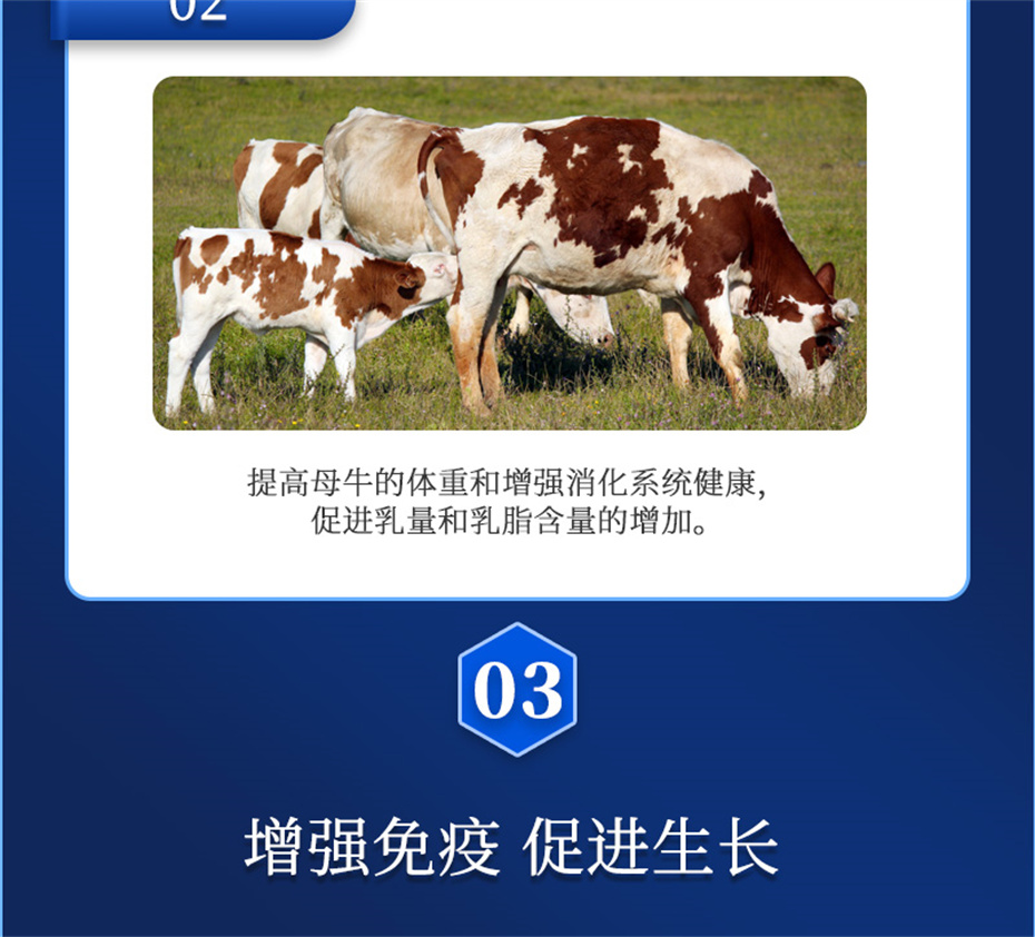 j9��������ţ���������Ӽ�����Ѫţ���Ʒ����