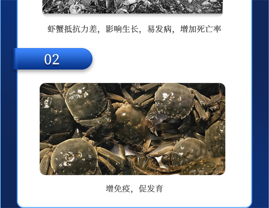 j9��������ˮ���������Ӽ�Ϻ������Ʒ����