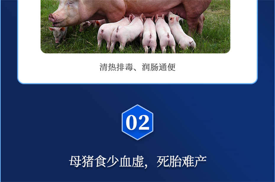 j9�����������������Ӽ�ĸ��ͨ��Ʒ����