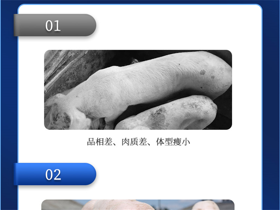 j9�����������������Ӽ�ĸ��ͨ��Ʒ����