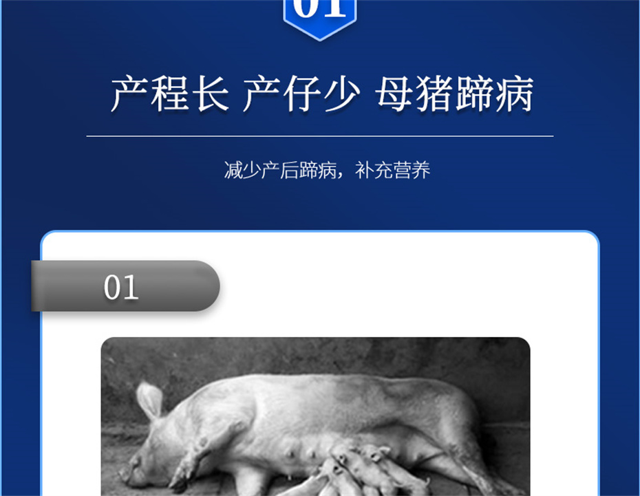 j9�����������������Ӽ���ֳ����Ʒ����