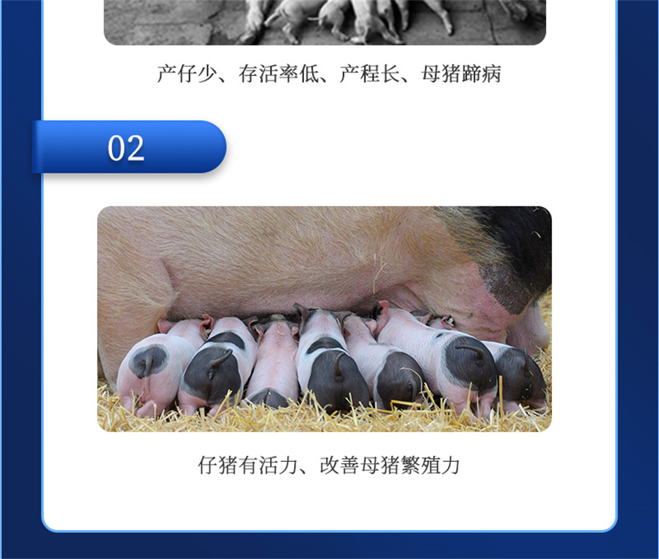 j9�����������������Ӽ���ֳ����Ʒ����