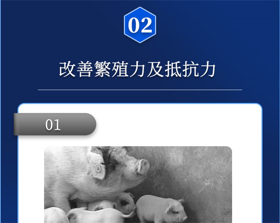 j9�����������������Ӽ���ֳ����Ʒ����