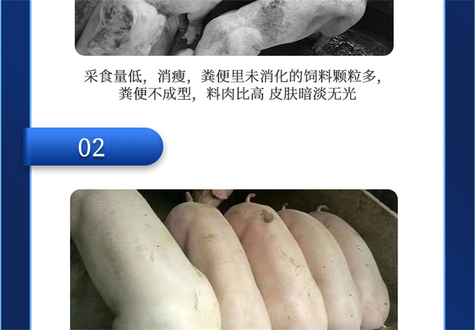 j9�����������������Ӽ���������Ʒ����