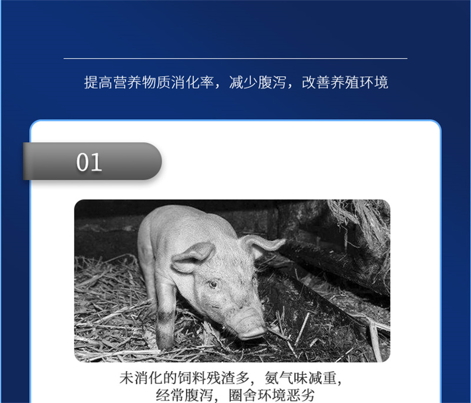 j9�����������������Ӽ���������Ʒ����