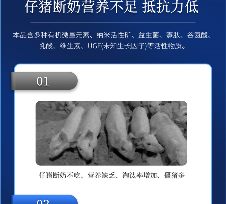 j9�����������������Ӽ�������������Ʒ����