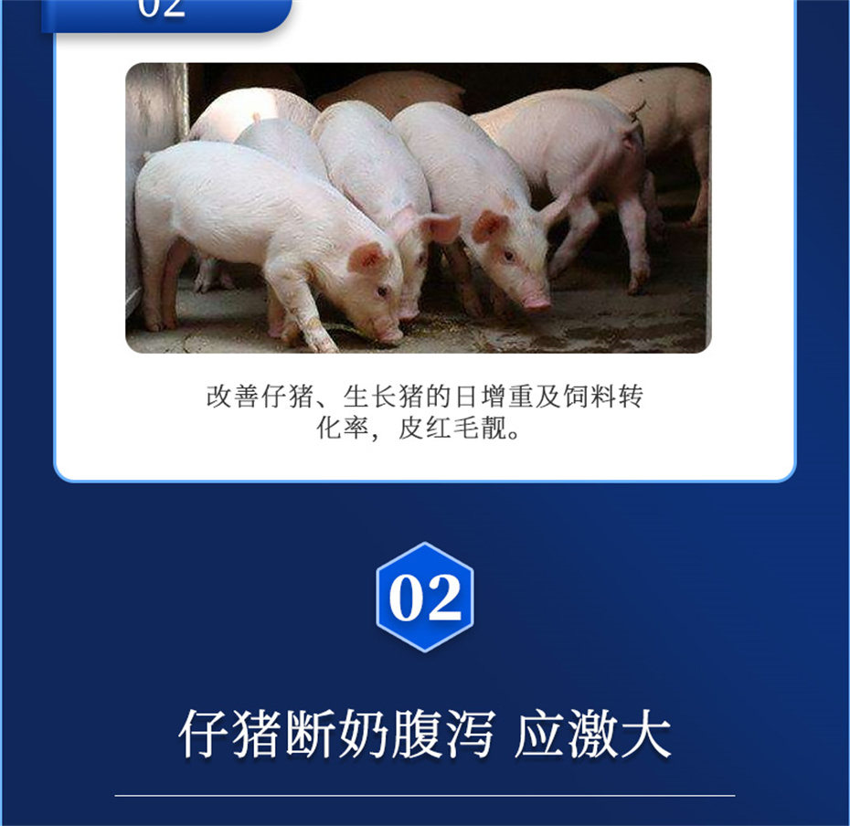 j9�����������������Ӽ�������������Ʒ����