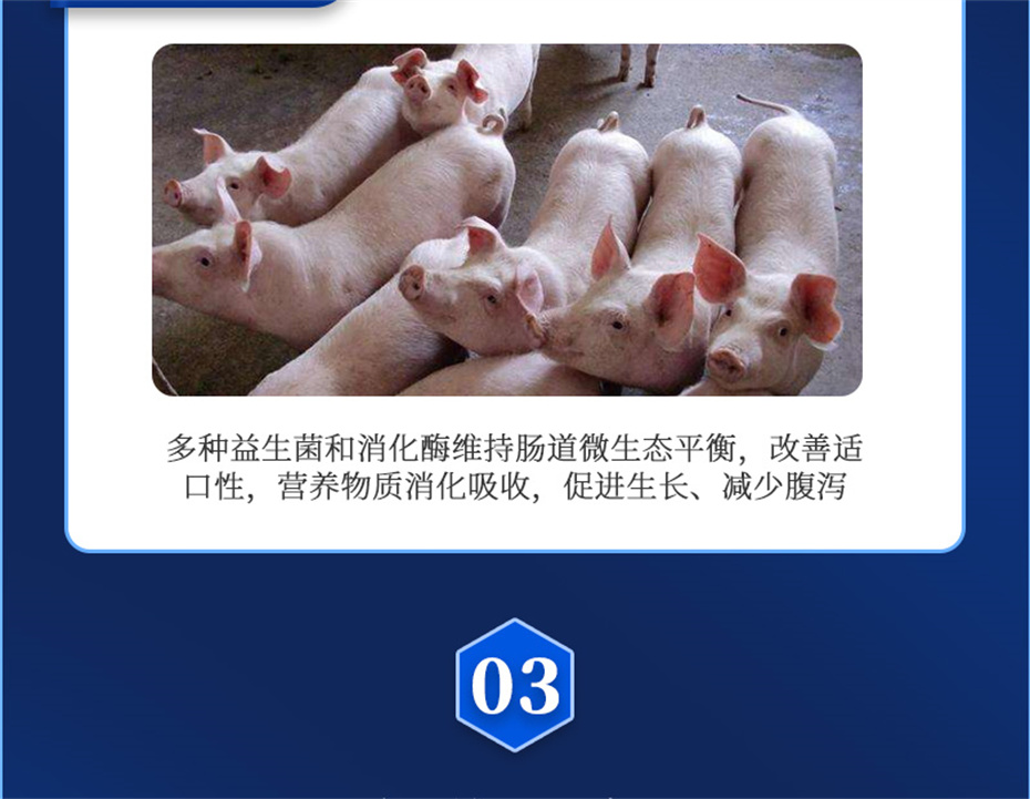 j9�����������������Ӽ�������������Ʒ����