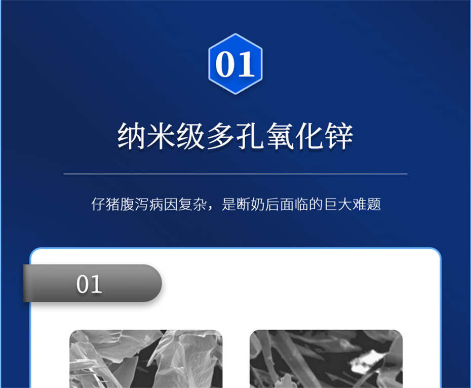 j9�����������������Ӽ�����120��Ʒ����