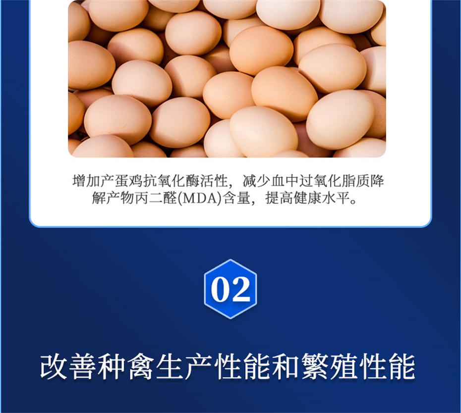 j9�����������������Ӽ�����Ѫ�ݲ�Ʒ����
