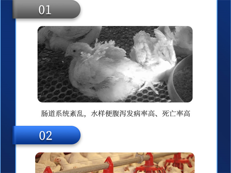 j9�����������������Ӽ����ﱦ��Ʒ����
