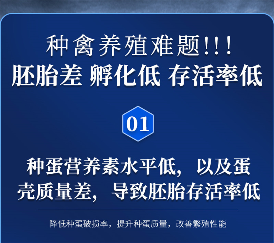 j9�����������������Ӽ���������Ʒ����