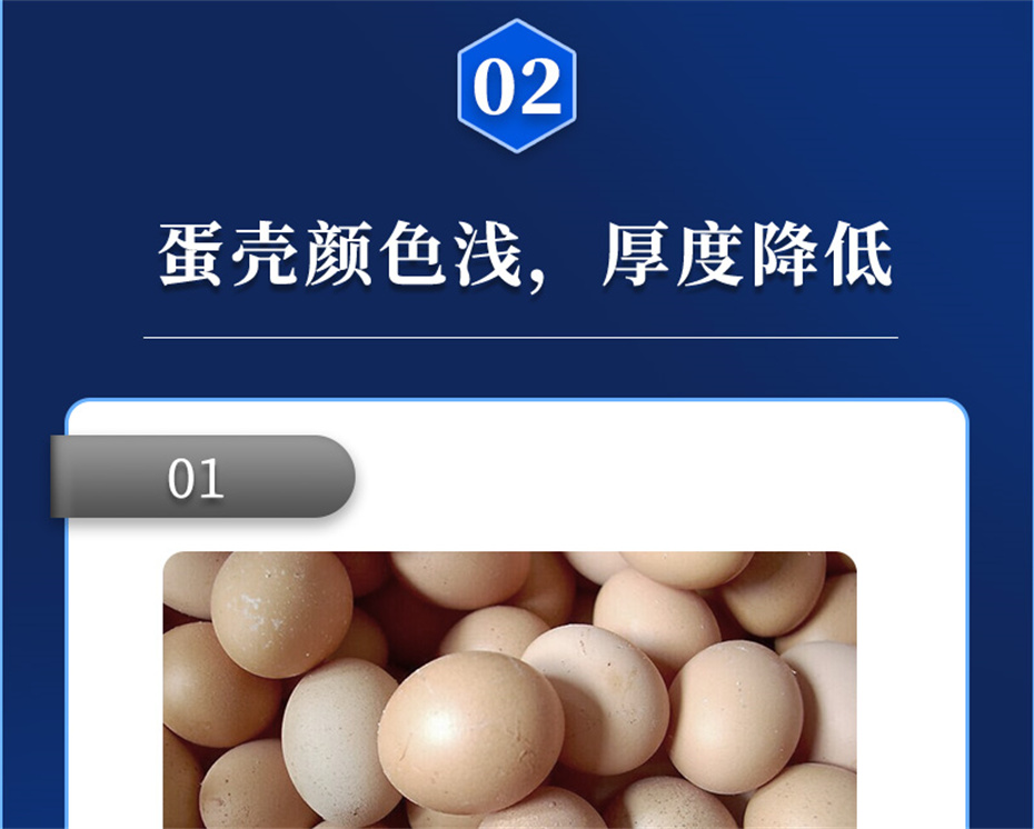 j9�����������������Ӽ�ǿ�Ǳ���Ʒ����