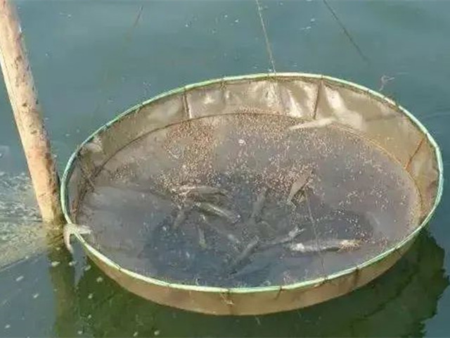 ��Ϻ�ɿ�