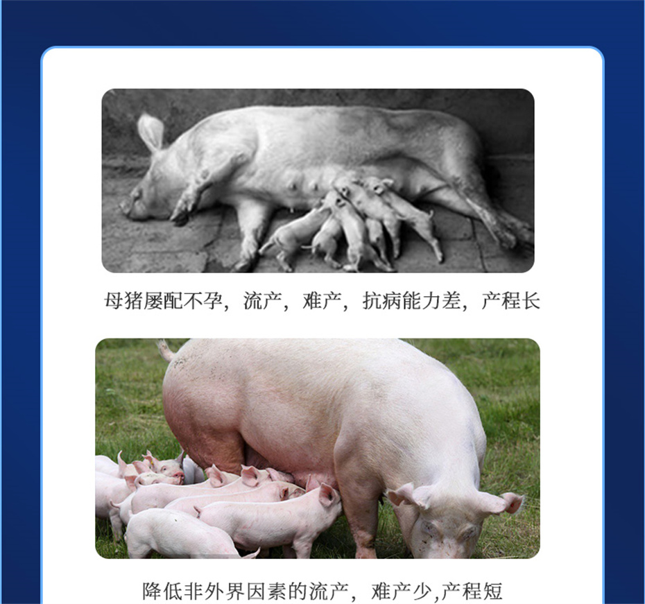j9�����������������Ӽ�����Ѫ��Ʒ����