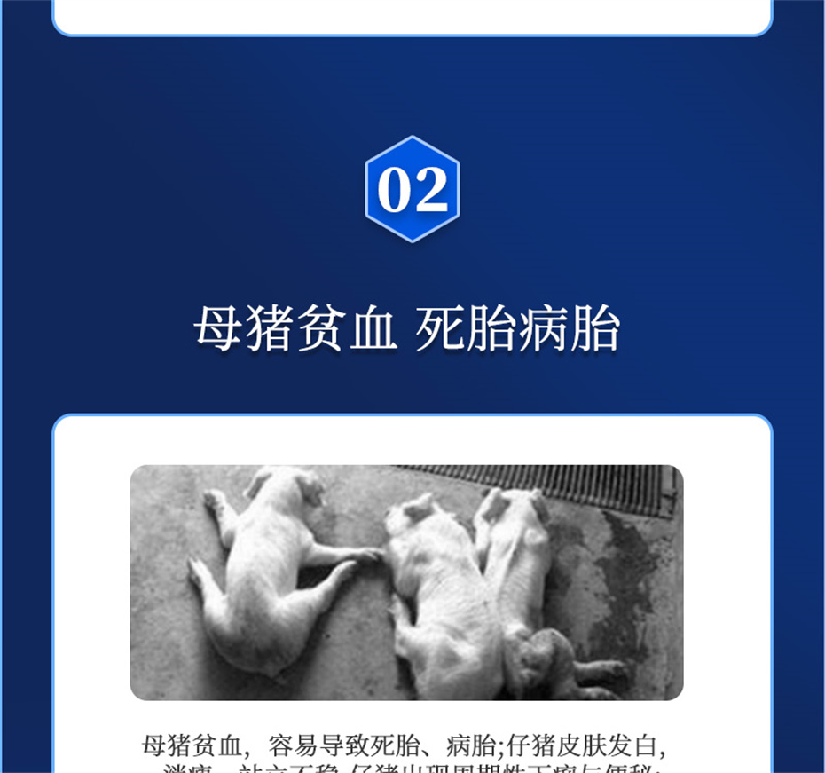 j9�����������������Ӽ�����Ѫ��Ʒ����