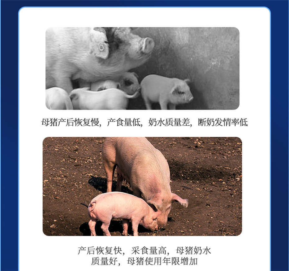 j9�����������������Ӽ�����Ѫ��Ʒ����
