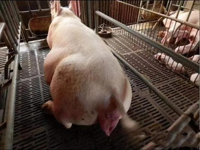 ĸ�����̹���������