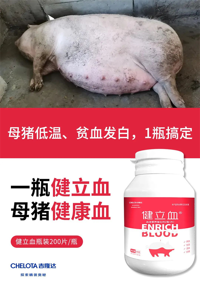 ĸ��������֢�������Ӽ�����Ѫ