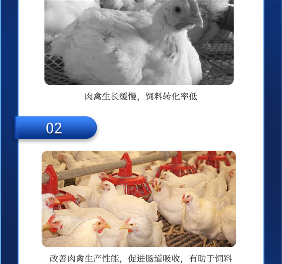 j9�����������������Ӽ������ز�Ʒ����