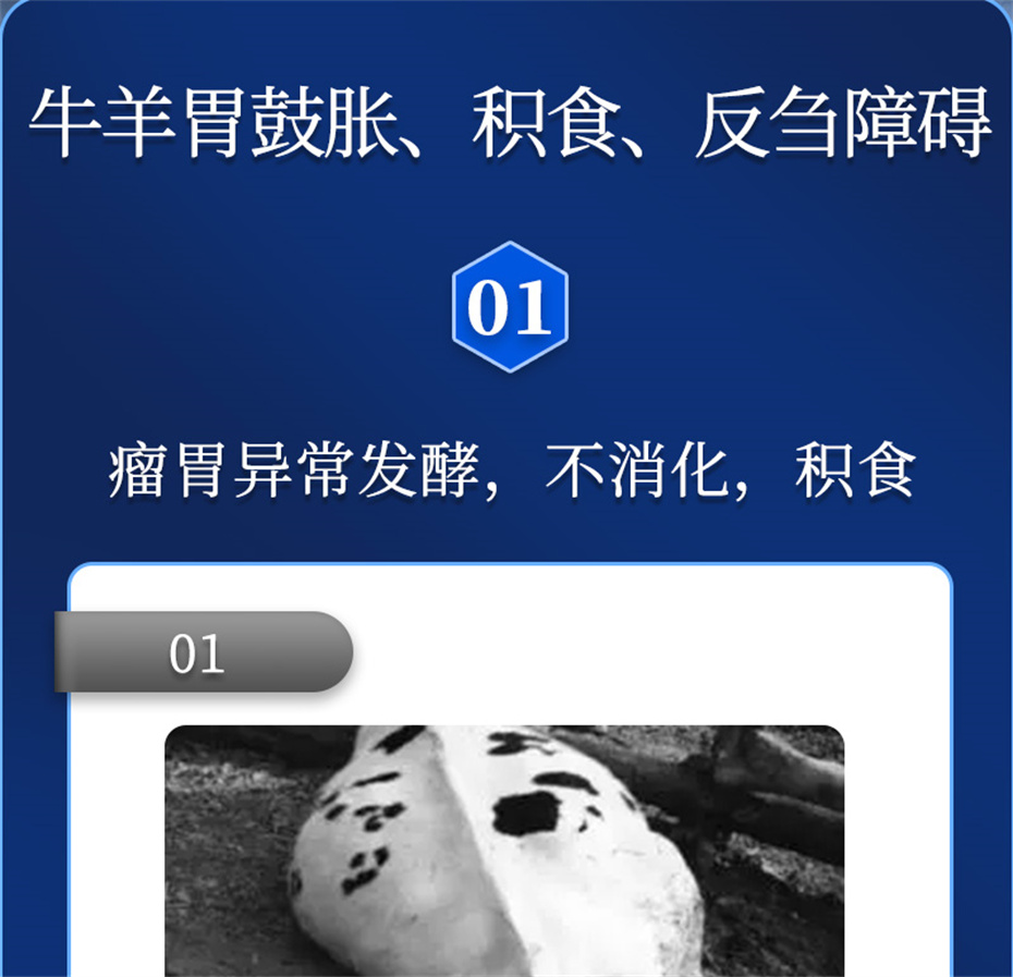 j9��������ţ���������Ӽ�θ��plus��Ʒ����