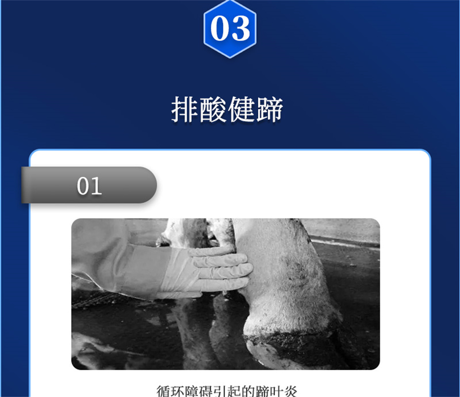 j9��������ţ���������Ӽ�θ��plus��Ʒ����