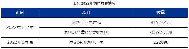 2022�����Ϸ�չ�����