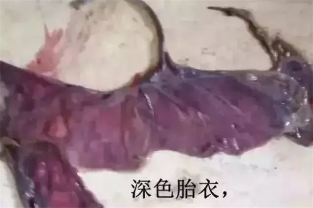 �ж�ĸ���Ƿ�����4������̥����ɫ