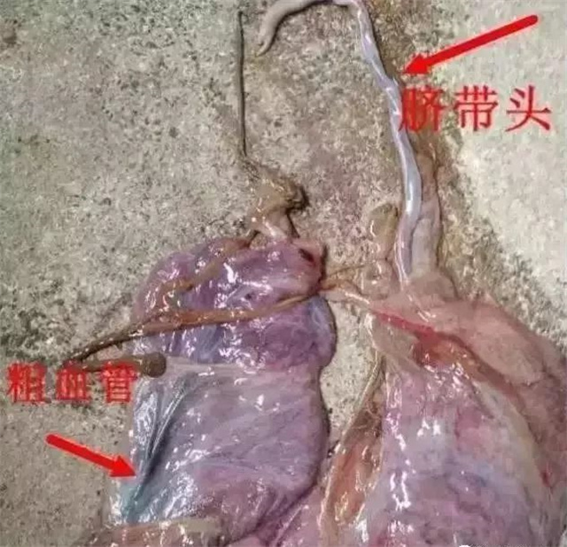 �ж�ĸ���Ƿ�����1���������ͷ
